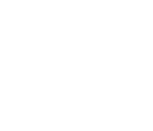 RLS logo weiss